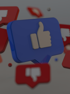 Social Media Marketing (SMM)